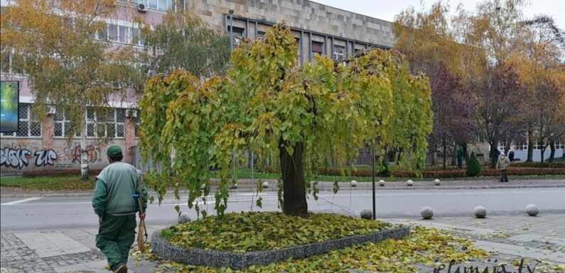 METEOS: U NEDELJU UJUTRU U KRUŠEVCU SLAB MRAZ