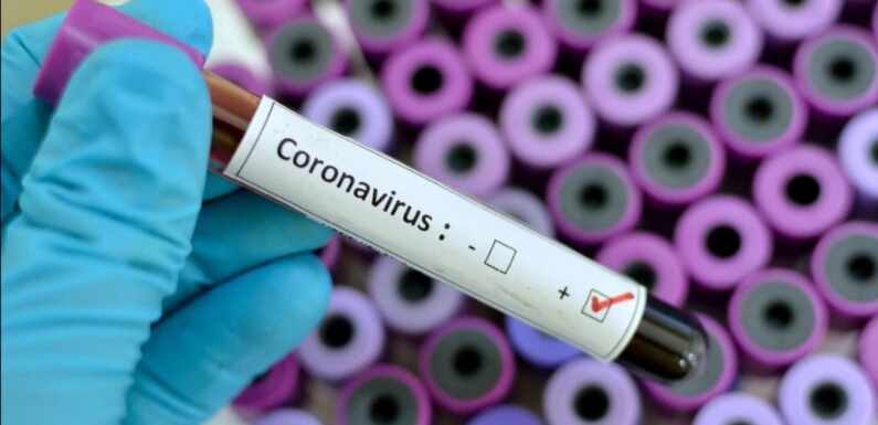 COVID19, SRBIJA: 111 NOVOINFICIRANIH DANAS