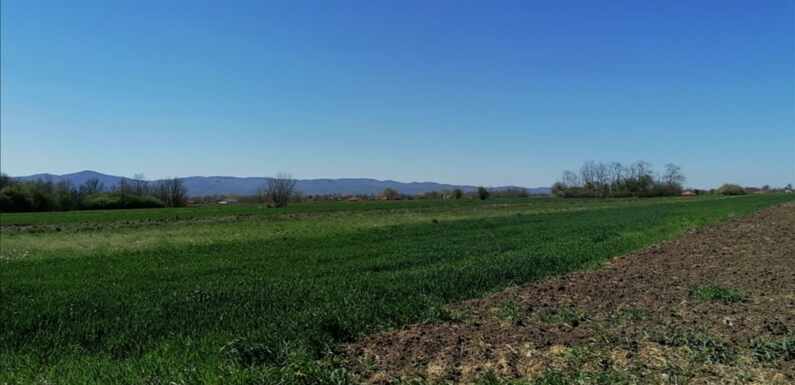 METEOS: 31°C I U UTORAK, UZ SVEŽE JUTRO