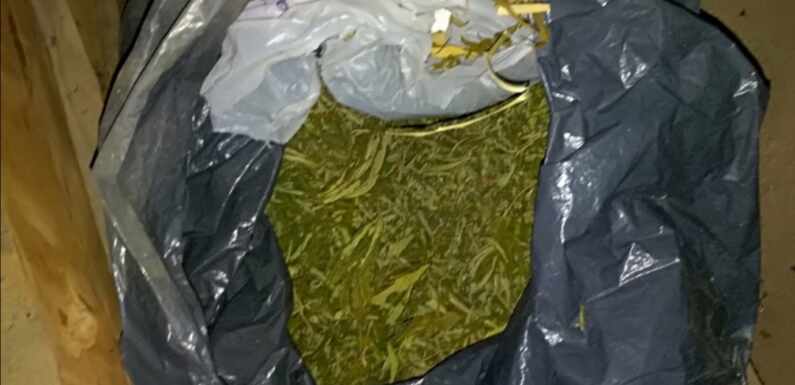 NAĐENA I ODUZETA MARIHUANA, UHAPŠEN MUŠKARAC (46)
