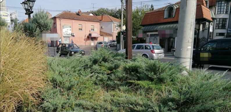 METEOS: ZA VIKEND SVEŽA JUTRA, PA SUNČANO TOKOM DANA