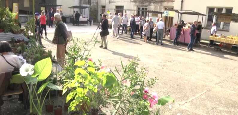 OTVORENA TRODNEVNA PRODAJNA IZLOŽBA “DANI PČELARSTVA”