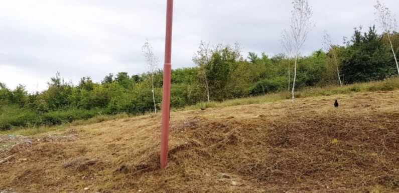PROJEKAT: “POŠUMLJAVANJE I STABILIZACIJA KLIZIŠTA NOVO GROBLJE”