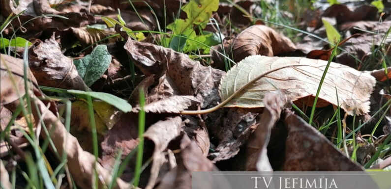 METEOS: U NEDELJU SUNČANO, TEMPERATURA DO 28°C