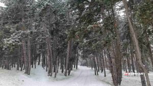 JP „PUTEVI SRBIJE“ SAVETUJU UČESNICIMA U SAOBRAĆAJU MAKSIMALAN OPREZ PRI VOŽNJI