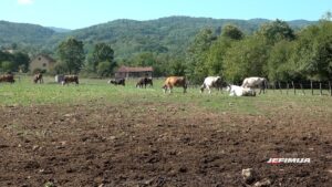 PODNOŠENJE ZAHTEVA ZA PODSTICAJE U STOČARSTVU DO 18. MAJA