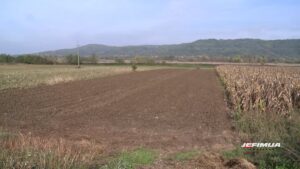 OD DANAS JE MOGUĆE PODNOŠENJE ZAHTEVA ZA KREDITNU PODRŠKU POLJOPRIVREDNICIMA