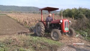 DRŽAVA POOŠTRAVA KONTROLU DODELE PODSTICAJA POLJOPRIVREDNICIMA