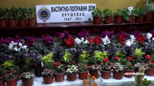 OSMOMARTOVSKA IZLOŽBA CVEĆA VASPITNO-POPRAVNOG DOMA U HOLU КRUŠEVAČKOG POZORIŠTA