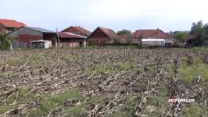 JAVNI OGLAS ZA DAVANJE U ZAKUP I NA KORIŠĆENJE POLJOPRIVREDNOG ZEMLJIŠTA U DRŽAVNOJ SVOJINI NA TERITORIJI KRUŠEVCA